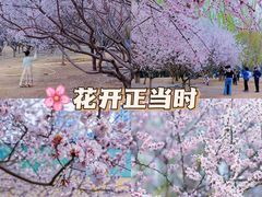-太阳宫公园