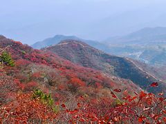 -水峪民俗村