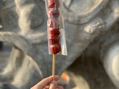 -和禄德冰糖葫芦