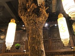 -小龙坎火锅(春熙太古里店)