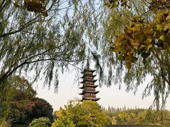 -上海方塔园