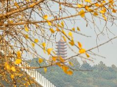 -两江幸福广场