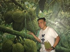 -都念榴莲·城市榴莲