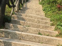 -梧桐山风景名胜区