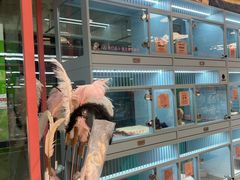-FAELING PETS美天灵宠物(合生汇店)