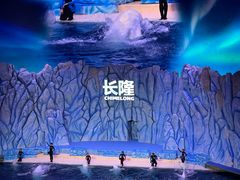-珠海长隆海洋王国