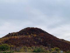 -御道口草原森林风景区