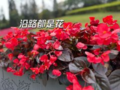 -广州市白云山风景名胜区