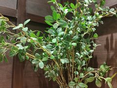 -阿嬷手作(南宁青秀万达店)