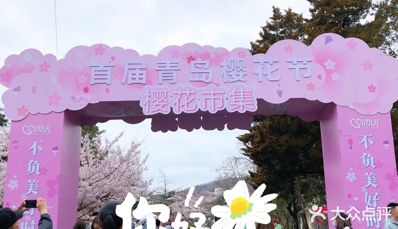 首届青岛樱花节