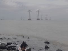 -宝安西湾红树林湿地公园