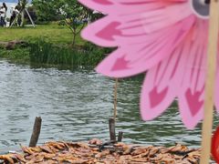 -东钱湖旅游度假区