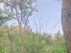-崂山九水游览区