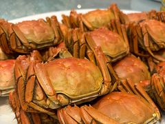 -新兴家喻酒家·羊城名宴(昌岗店)