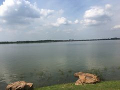 -丁香湖公园