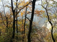 android_upload_pic-沣峪森林公园龙潭戏水景区