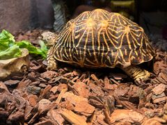 -上海海洋水族馆