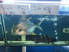 -鑫悦楼煎蟹·16年海鲜大排档