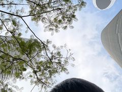 -海心沙亚运公园