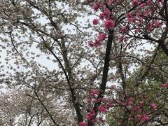 -苏州上方山国家森林公园