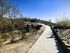 -白水寺森林公园