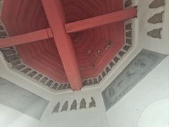 -巢湖姥山岛