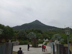 -将军山森林公园