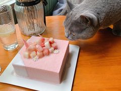 -壹点壹客·生日蛋糕(南山店)