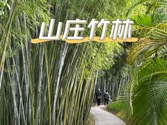 -林丰温泉度假山庄