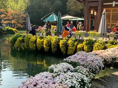 -杭州植物园