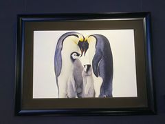 -罗红摄影艺术馆