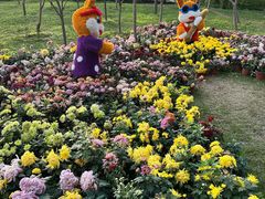 -南山植物园