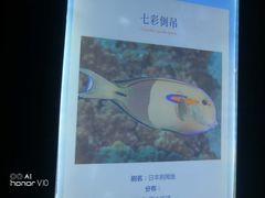 -临沂极地海洋王国