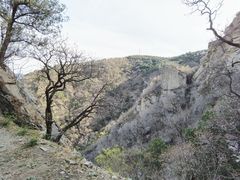 -北京鹫峰国家森林公园