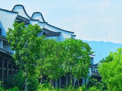 -长兴太湖图影湿地文化园