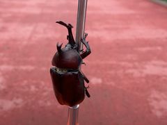 -桤木河湿地公园