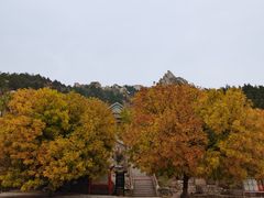 -北京凤凰岭