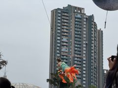 -海合安成都极地海洋公园