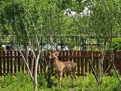 -上海交通大学(闵行校区)