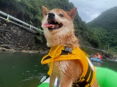 -安吉龙王山峡谷漂流