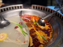 -辣伍鲜毛肚老火锅(元一店)