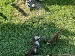 -大连森林动物园