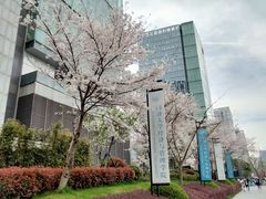 -同济大学(地铁站)
