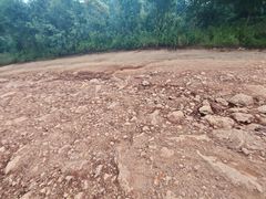 -长虫山生态公园风景林