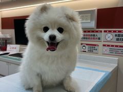 -御宝贝24h宠物医院·转诊中心·CT核磁血透中心(厦门总院)