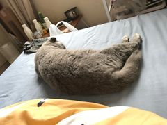 -董立兵烤鸭店(山大路店)