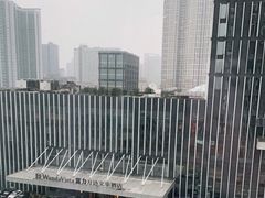 -长沙富力万达文华酒店