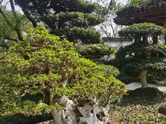 -南山植物园