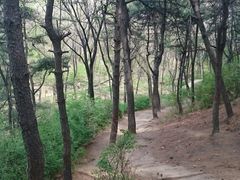 -高尔山公园
