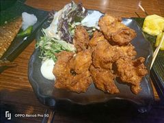 炸鸡块-鸟屋·烧鸟串烧居酒屋(新世纪广场店)